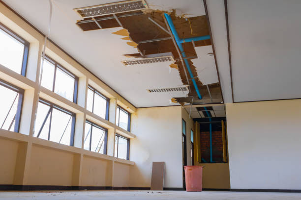 Best Water damage restoration mold remediation  in Pennington Gap, VA