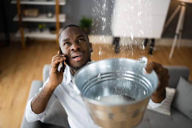 Best Ceiling water damage repair  in Pennington Gap, VA