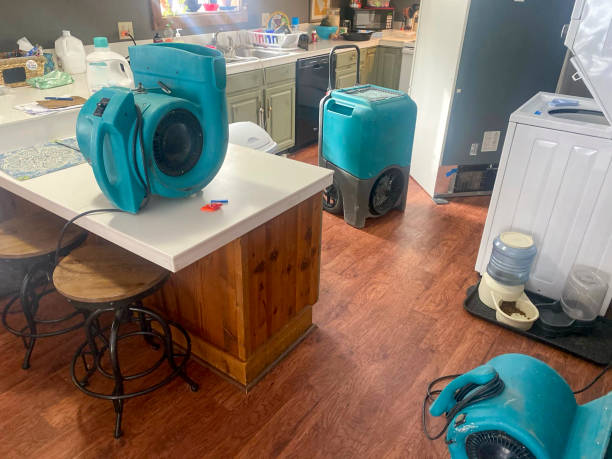 Best Residential water damage restoration  in Pennington Gap, VA