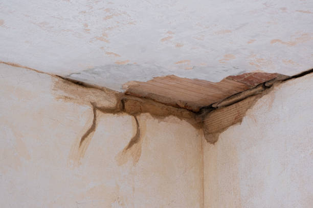 Best Emergency water damage restoration  in Pennington Gap, VA