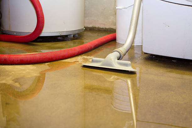 Best Commercial water damage restoration  in Pennington Gap, VA