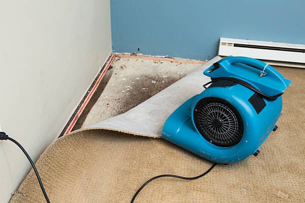 Best 24-hour water damage restoration  in Pennington Gap, VA